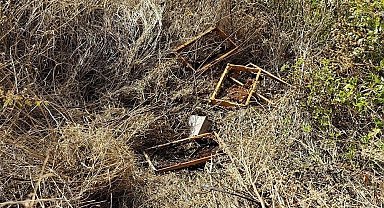 Kastamonu'da bağ evine gelen ayılar, 10 adet arı kovanını parçalayarak balları yedi