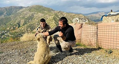 Kaymakamın bulduğu yavru köpekler güvenlik güçlerine arkadaş oldu
