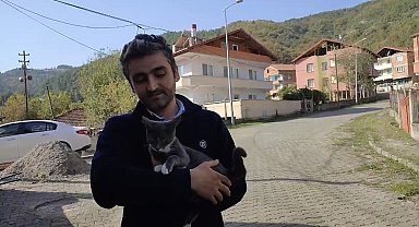 Kedinin fare ile oyunu izleyenleri gülümsetti