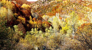 Keşfedilmeyi bekleyen şelalede Sonbahar güzelliği