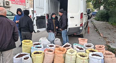 Kestane için pazarda borsa kurdular