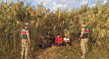 Kilis'te 4 düzensiz göçmen yakalandı