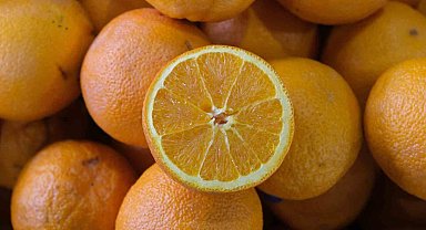 Kış meyve ve sebzeleri pazarda yerini alıyor