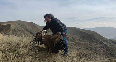 Kızıl akbaba 3 ay sonra yeniden özgür