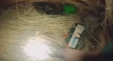 Konya'da bıldırcın sesi ile avlanmaya ceza