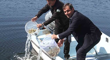 Konya'nın göl ve göletlerine yavru sazan balığı salındı