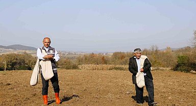 Körfezli çiftçilere sertifikalı buğday tohumu dağıtılacak
