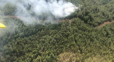 Köyceğiz'deki orman yangını söndürüldü