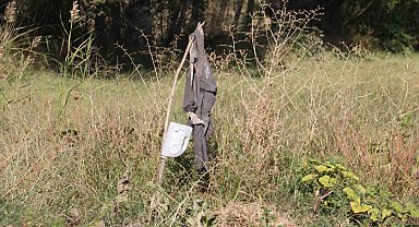 Köylüler korkudan tarlaya gidemiyor, karşılaşmamak için dua ediyorlar