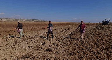 Kulp'ta çiftçiler imece usulü tohumu toprakla buluşturdu
