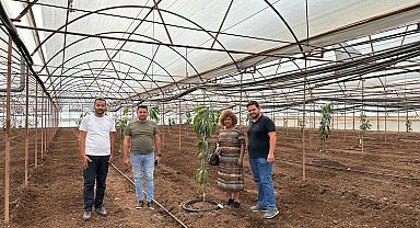 Kumluca'da tropik meyve yetiştiriciliği eğitimi