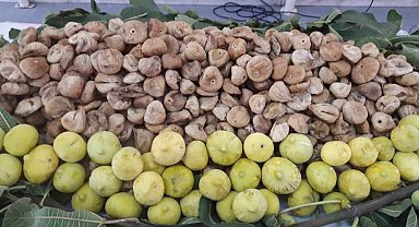 Kuru incir ihracatı 260 milyon dolar oldu