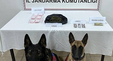 Kuşadası'nda uyuşturucu operasyonu: 1 tutuklama