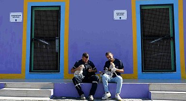 Kuşadası'nın sokak hayvanları sevgi ve müziğin gücüyle iyileşiyor