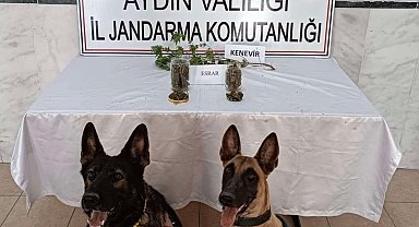 Kuyucak'ta uyuşturucu operasyonu