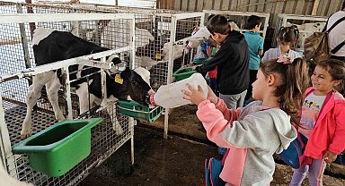Kuyucaklı çocuklar buzağıları biberonla besledi
