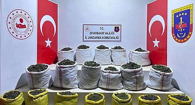 Lice kırsalında 366 kilogram uyuşturucu ile 270 bin kök kenevir bitkisi ele geçirildi