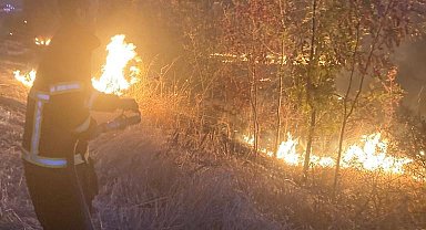 Lüleburgaz TEM Otoyolu kenarında yangın: Sürücüler zor anlar yaşadı