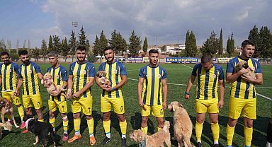 Maça sahiplendirilmeyi bekleyen köpeklerle çıktılar