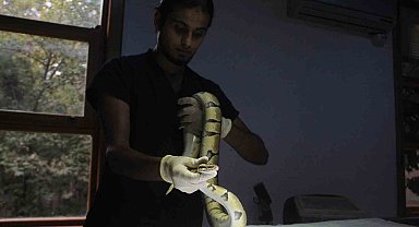 Mahalleliye korku dolu anlar yaşatan kral pitona 10 günlük karantina