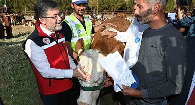 Malatyalı depremzedelere büyükbaş hayvan desteği
