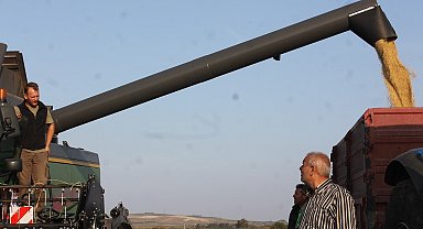 Manyas'ta çeltik hasadına başlandı