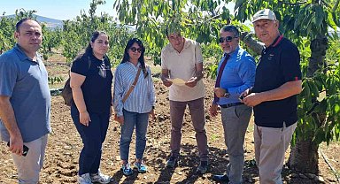 Mihalıççık kiraz bahçeleri kontrol altında