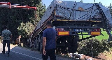 Milas'ta balık yemi yüklü tır tarlaya uçtu