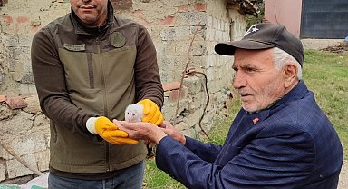 Minareden düşen yavru puhuyu Ahmet amca kurtardı