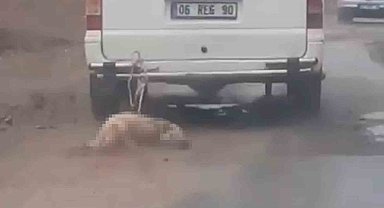 Minibüsün arkasına bağladığı köpeği dakikalarca sürükledi