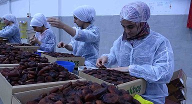 MTB Başkanı Özcan: "Kayısı titiz bir sürecin ardından sofralara ulaşıyor"