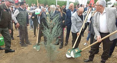 Muğla'da 100. yılda 100 fidan dikildi