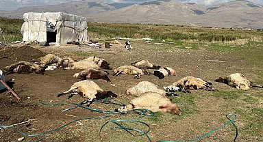Muradiye'de 40 küçükbaş hayvan telef oldu