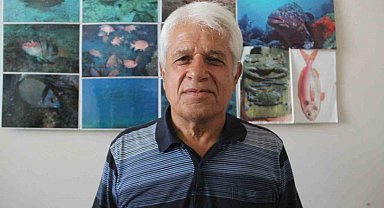 Müren balığının yem için balon balıklarına saldırdığı anlar kameralara yansıdı