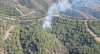 Nazilli'de orman yangını