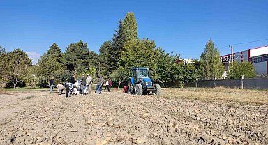 Niğde'de yerli patates 'Leventbey'de hasat dönemi başladı