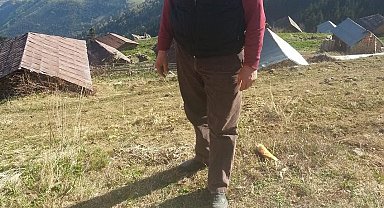 Odun yaparken hayatını kaybetti