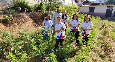 Okul bahçesinde hasat zamanı