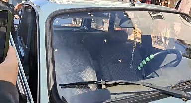 Ordu'da 'kahverengi kokarca' sorunu