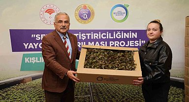 Ordu'da 4,5 yılda 3 milyon sebze fidesi vatandaşlara dağıtıldı