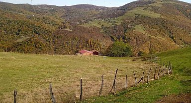 Ordu'nun yaylalarında sonbahar güzelliği