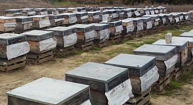 Orhaneli'de arılı kovan sayısı arttı