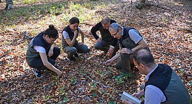 Orman Bölge Müdürü Kayıran Gönen'de