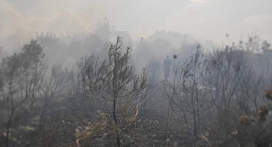 Orman yangını büyümeden söndürüldü