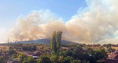 Ormana sıçrayan yangın kontrol altına alındı