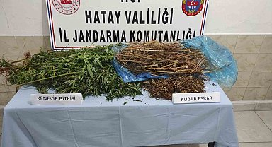 Ormanlık alanda uyuşturucu ele geçirildi