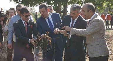 Osmanlı İmparatorluğu'nun "Edirne Kırmızısı" hasat edildi