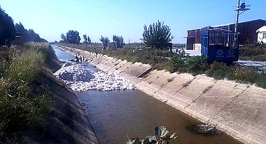 Pamuk yüklü römork sulama kanalına devrildi