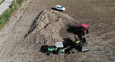 Pancar dönümde 9 tona kadar verim verdi