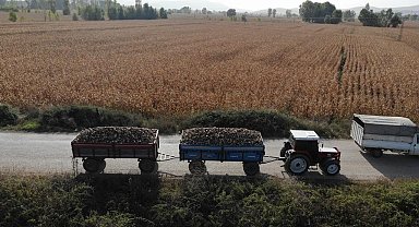Pancar hasadı yapan çiftçilere jandarma denetimi